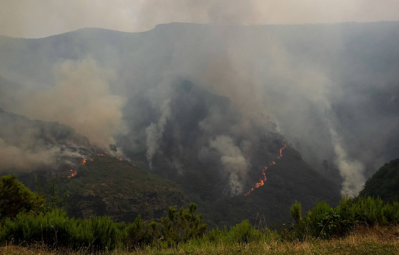 Fotos Más De 30 Incendios Calcinan Miles De Hectáreas Y Obligan A Evacuar A Los Vecinos El 1374